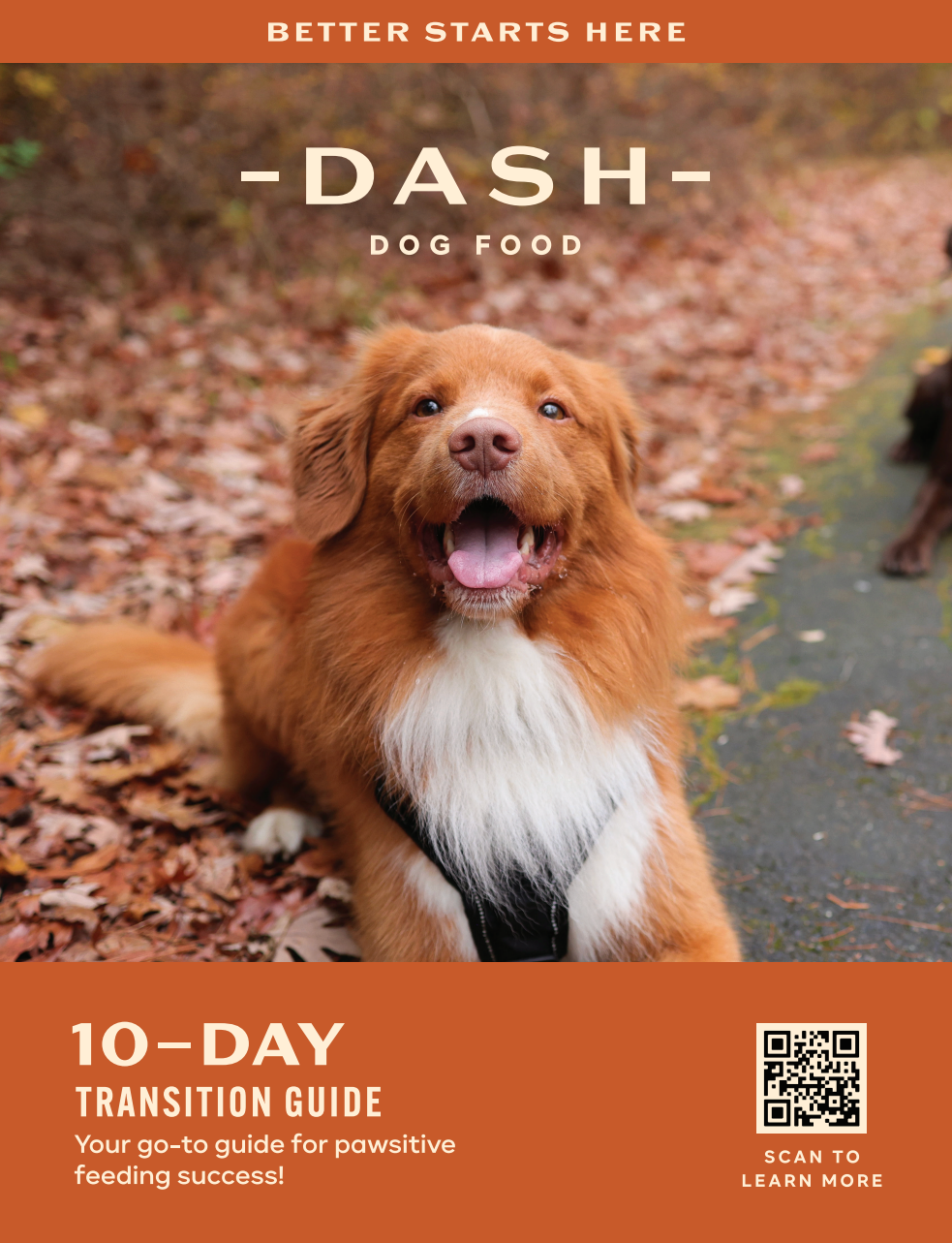 DASH Dog Food: Feeding Guideline
