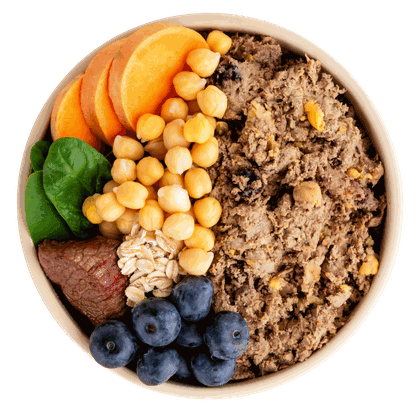 Bowl of DASH fresh dog food with beef, sweet potato, spinach, chickpeas, oats, and blueberries