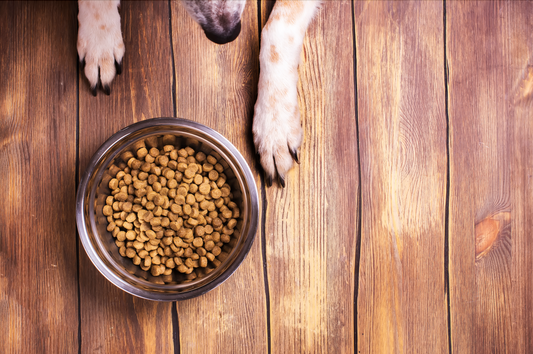What's the Deal with Kibble?