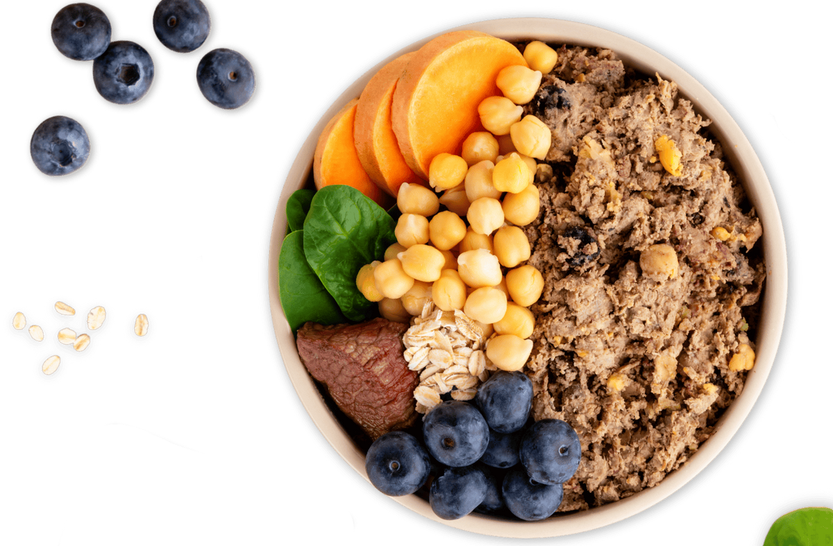 A bowl of DASH fresh dog food made with grass-fed beef and organic chicken.