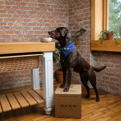Premium Fresh Dog Food