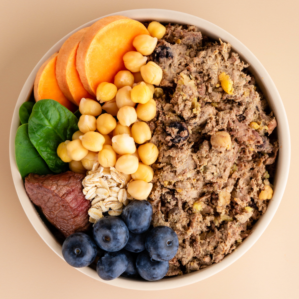 Premium Fresh Dog Food