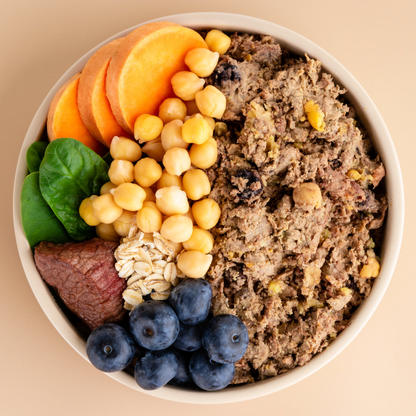 Premium Fresh Dog Food
