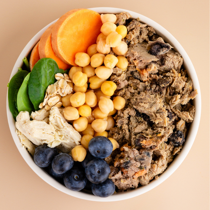 Premium Slow-Cooked Nutrition Fresh Dog Food