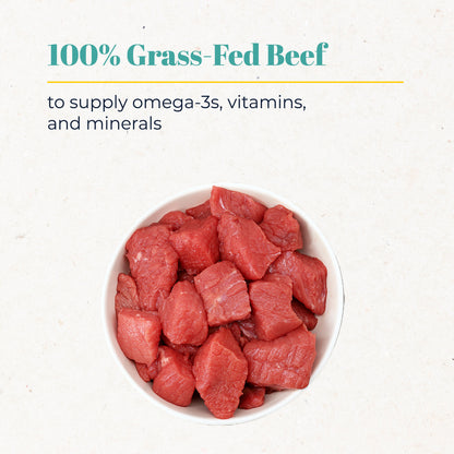 Single Ingredient Freeze-Dried Beef Liver Bites