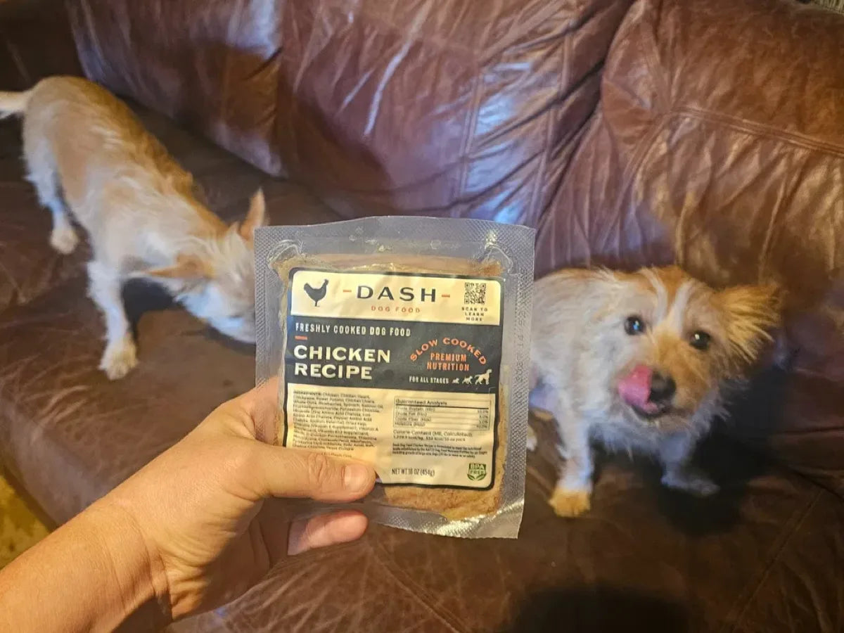 Rachel H.'s two terrier mixes with a DASH Chicken Recipe pack